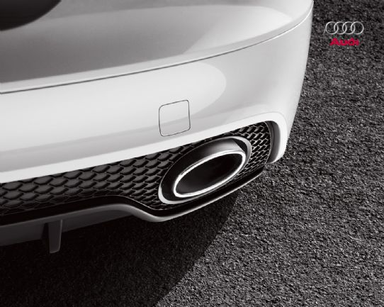 620008 - TTRS Chrome Tail Pipe (pair)