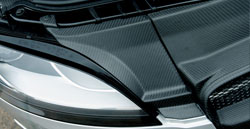 202461 - OSIR - Mk2 Light Cover (Pair)